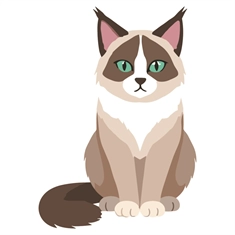 Cat Lovers Theme Ragdoll Cat Transparent Sticker